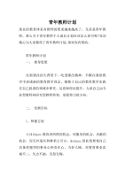 青年教师计划