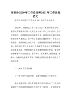 市政协2020年工作总结和2021年工作计划范文