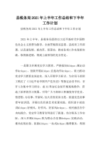 县税务局2021年上半年工作总结和下半年工作计划