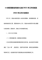 工作总结2021年工作总结及2022年工作计划范文