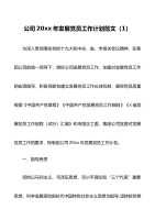 2篇公司年度发展党员工作计划范文2篇集团企业工作方案安排